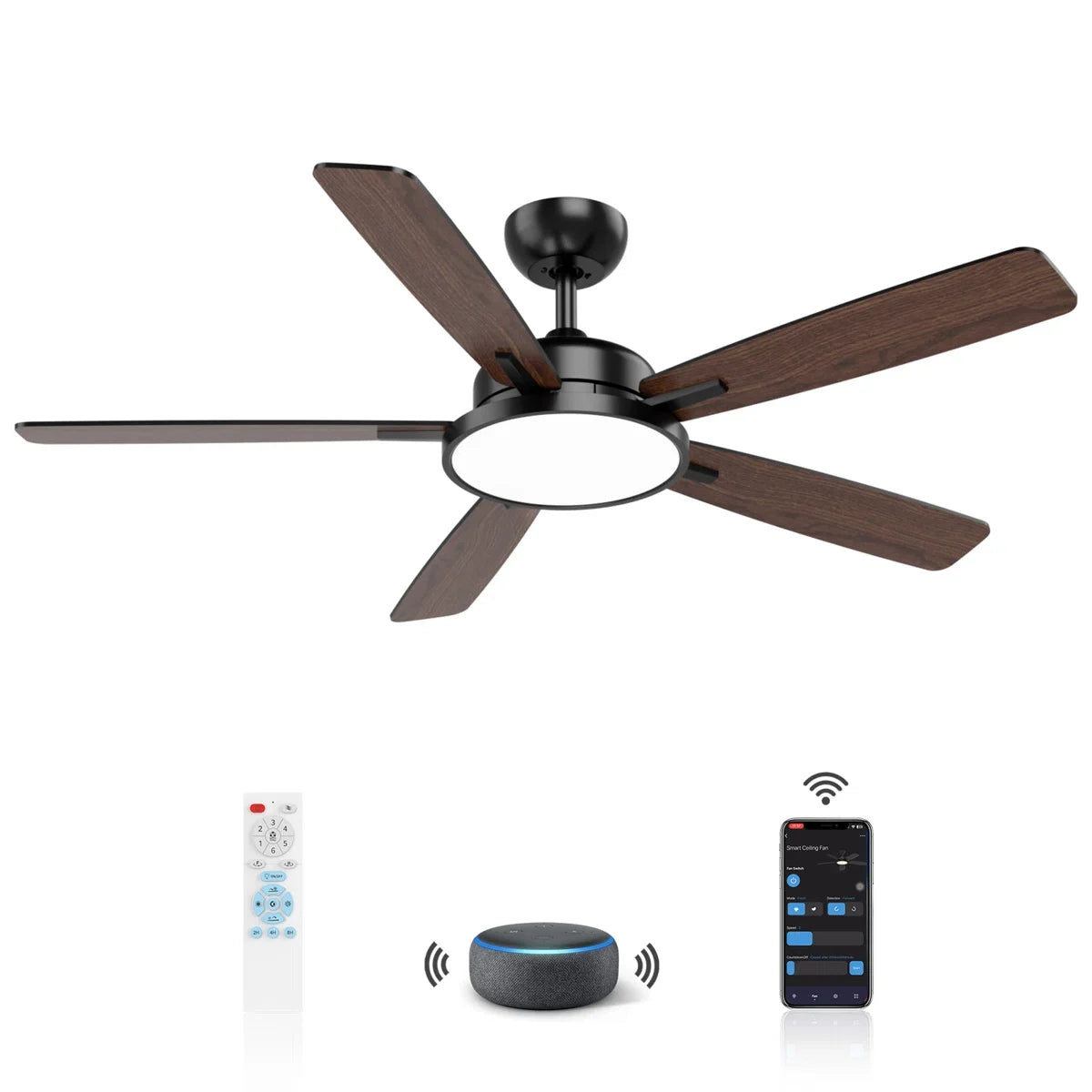 Smart 5 Blades Downrod Fan Lighting with Remote Control