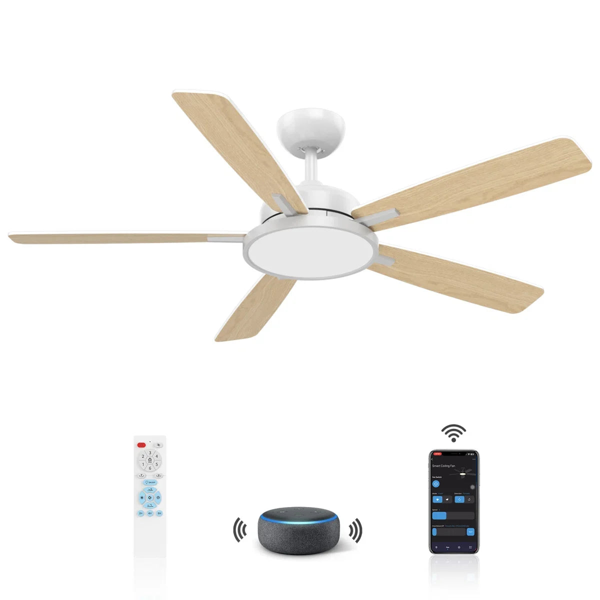 Smart 5 Blades Downrod Fan Lighting with Remote Control