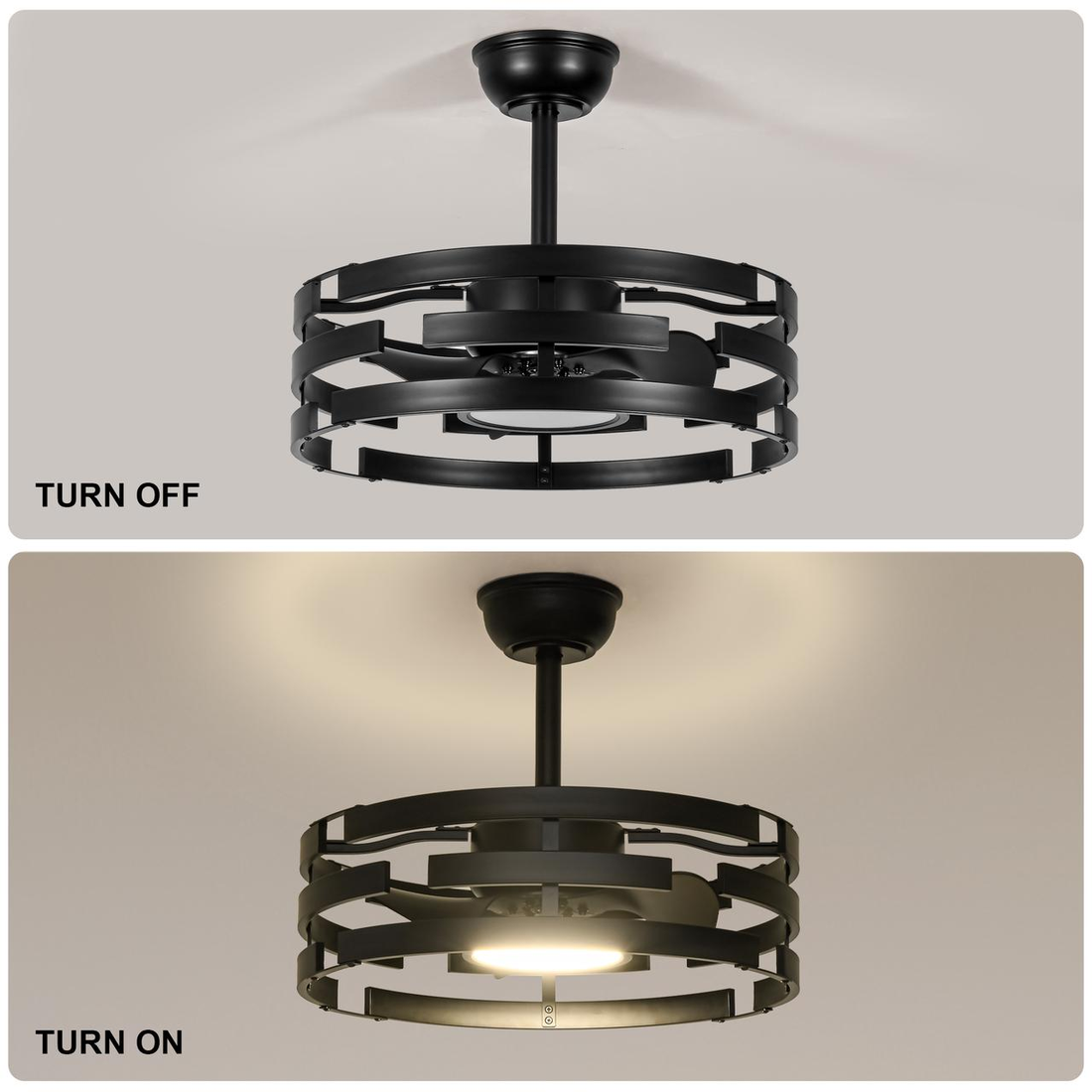 20'' Dropdown Mount Caged Ceiling Fan with Light and Remote