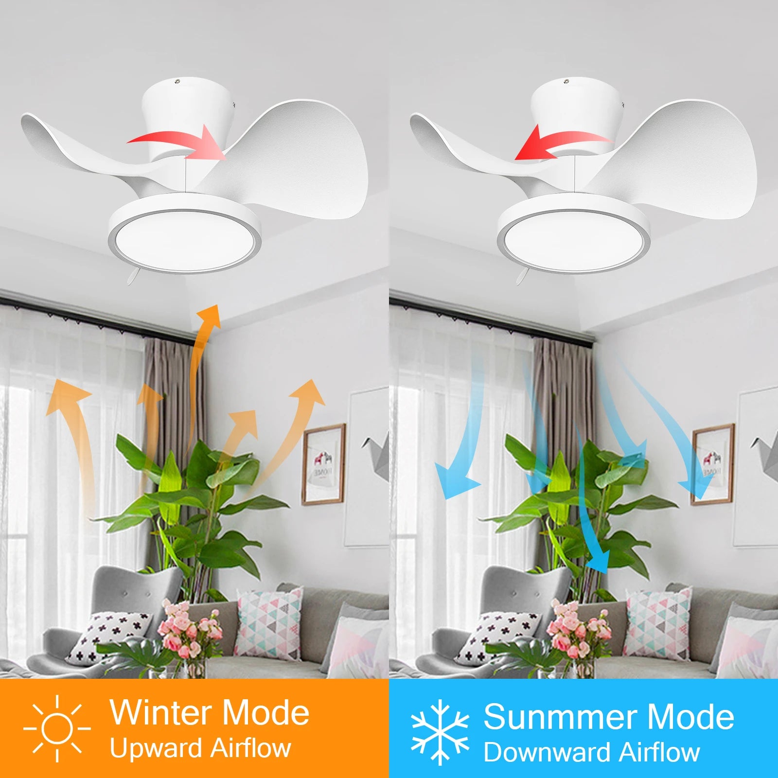 22 Inch Small LED Ceiling Fan, Reversible DC Motor for Bedroom