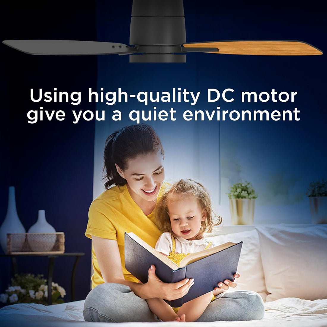 ceiling fan with light