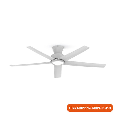 52" Dimmable Ceiling Fan Light with Ultra-quiet DC Motor