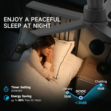 W5 44"  LED Ceiling Fan with 6 Speed and Timer Setting