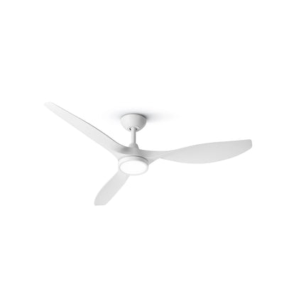 R3 52" Ceiling Fan with Light, Dimmable and Timer Function