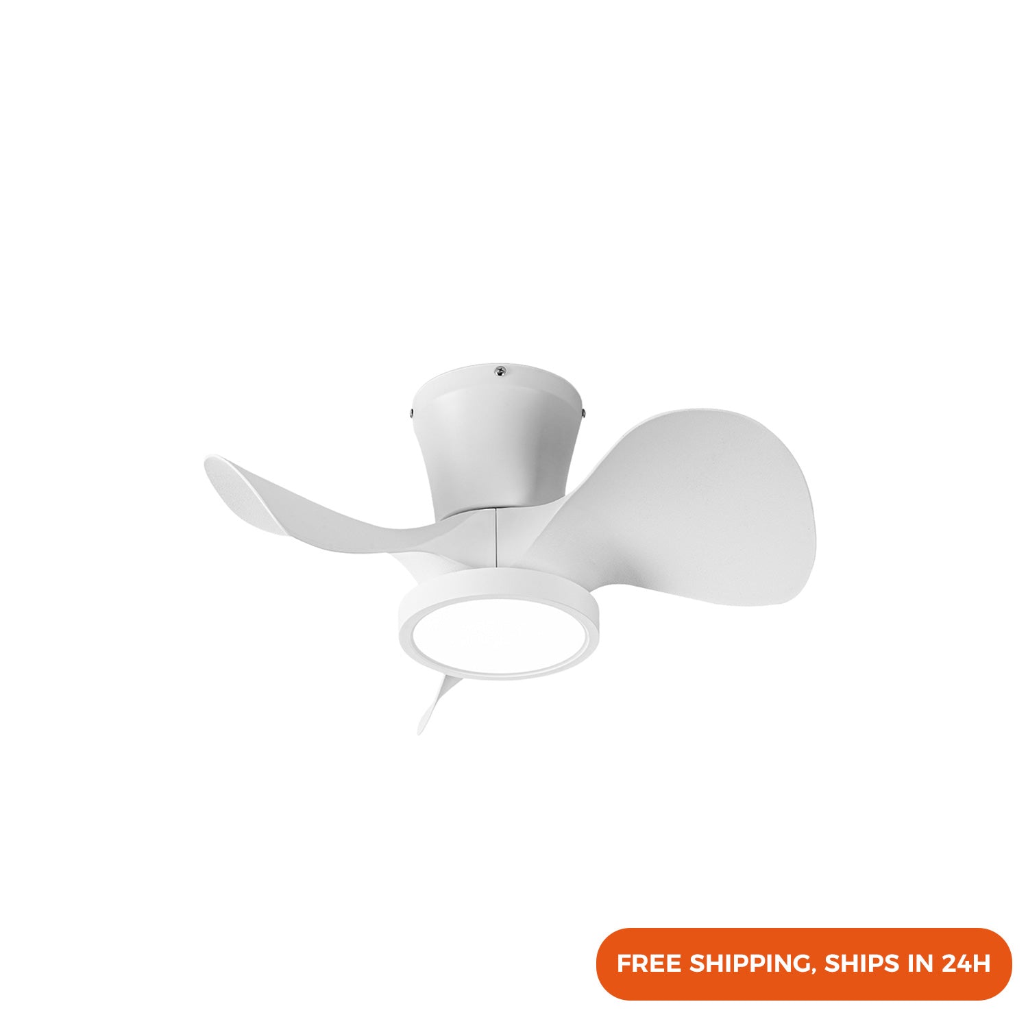 22 Inch Small LED Ceiling Fan, Reversible DC Motor for Bedroom