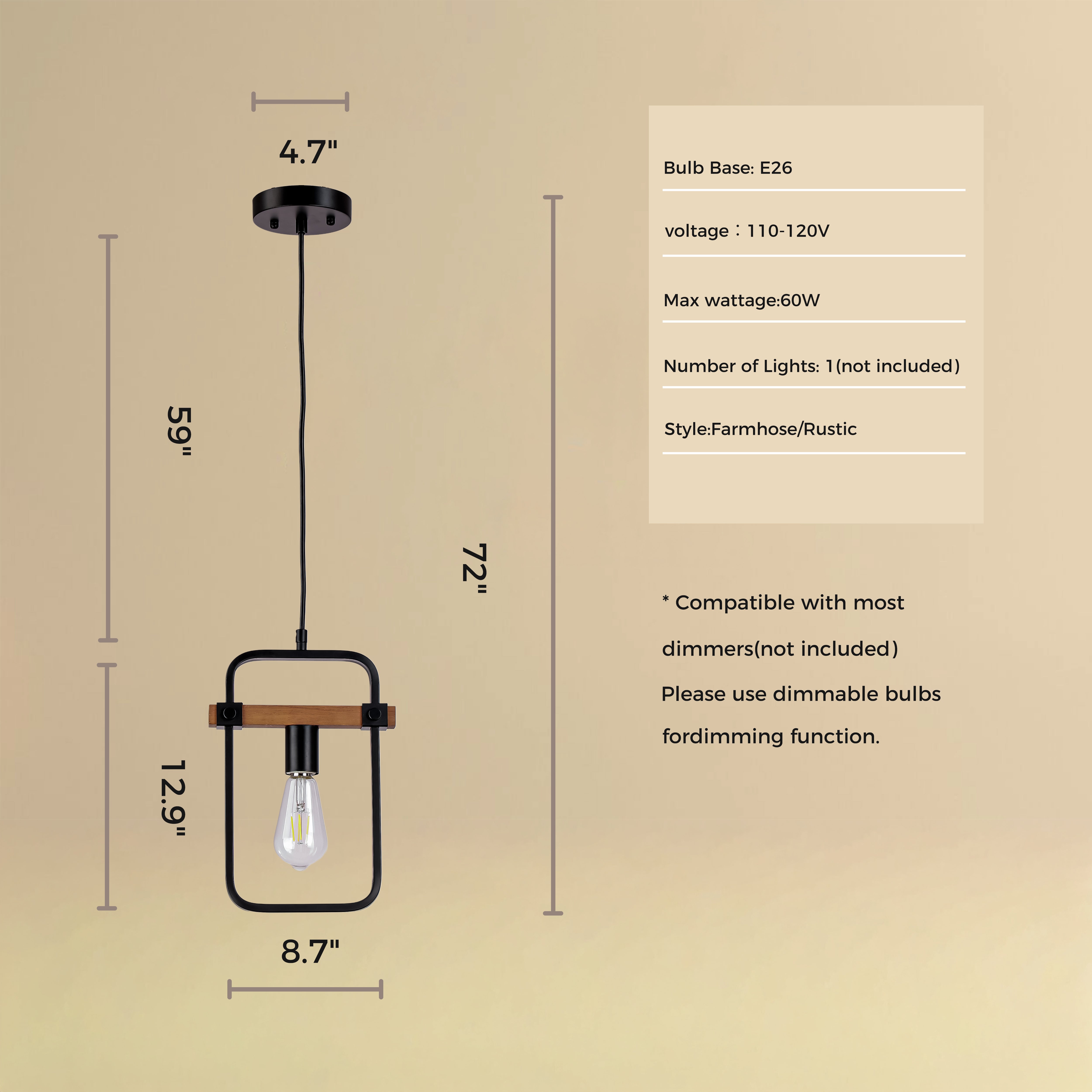 Small One Light Pendant Light