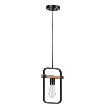 Small One Light Pendant Light