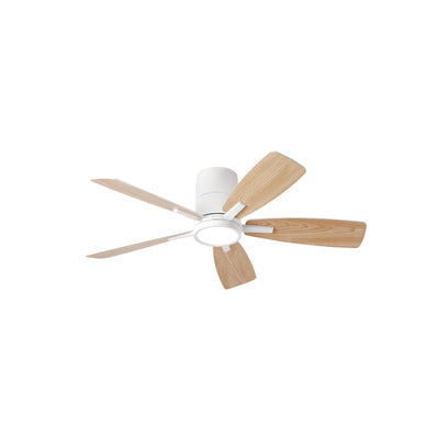 S5 42 Inch Ceiling Fan Light with 5 Plywood Blades