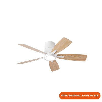 42 Inch Ceiling Fan Light with 5 Plywood Blades, DC Motor